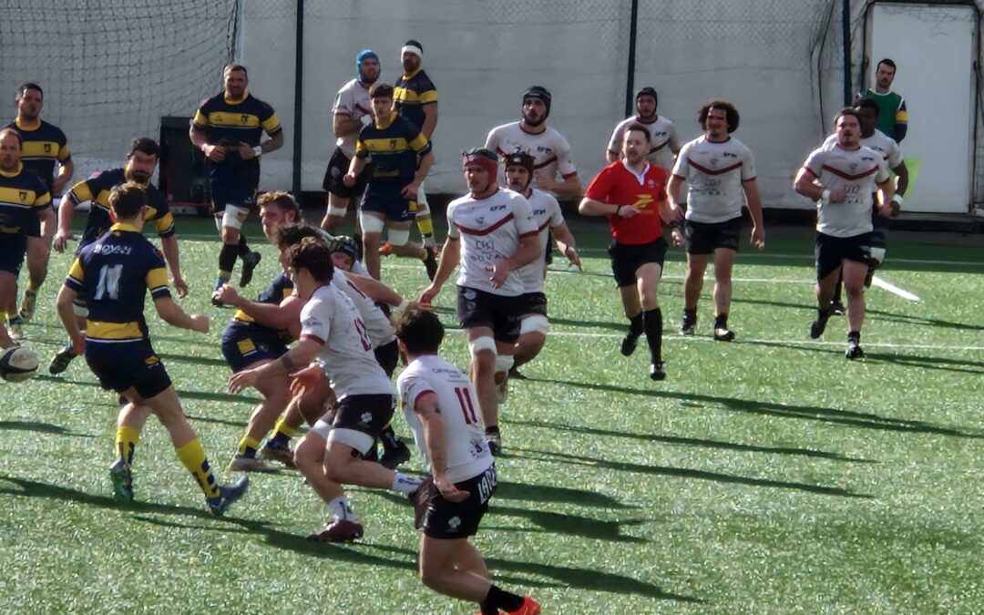 Aventures bretonnes pour les Lions