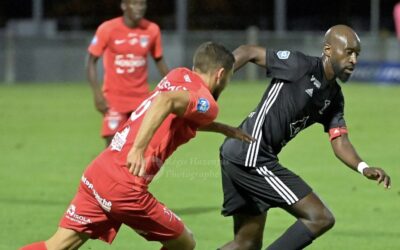 Un Lion de retour