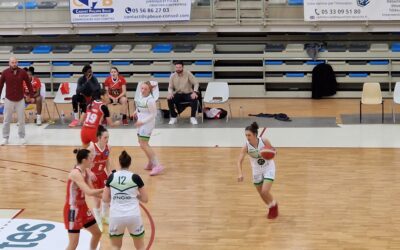 Retour aux sources pour Saint-Delphin