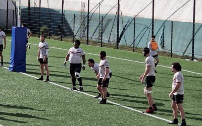 Les Lions ne laissent rien au hasard