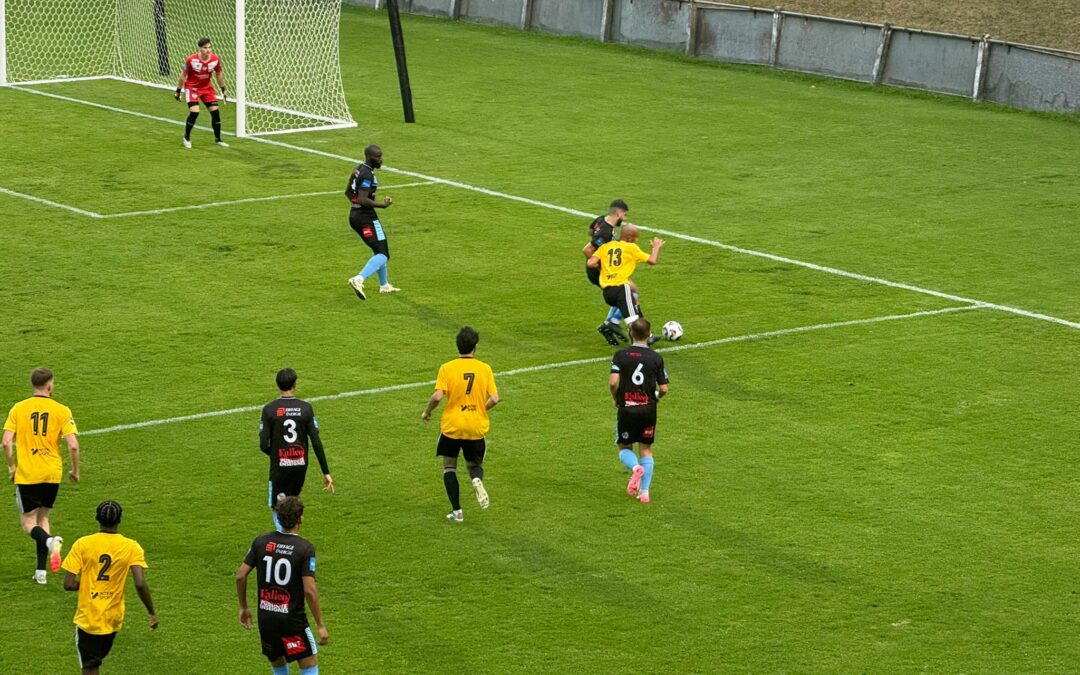 Les Lions tenus en échec