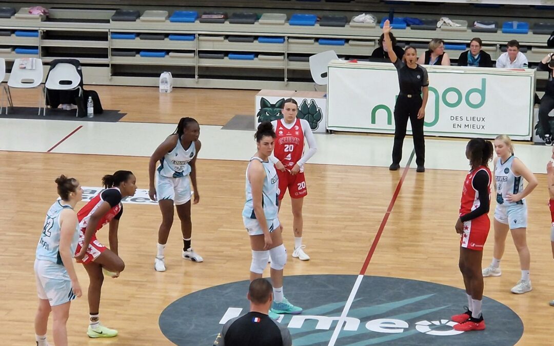 Saint-Delphin en démonstration