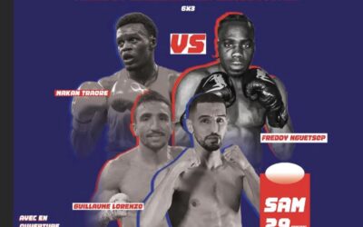 Chocs en stock à Bellegrave