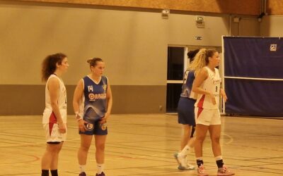 La ligne directrice d’Estelle Perrin