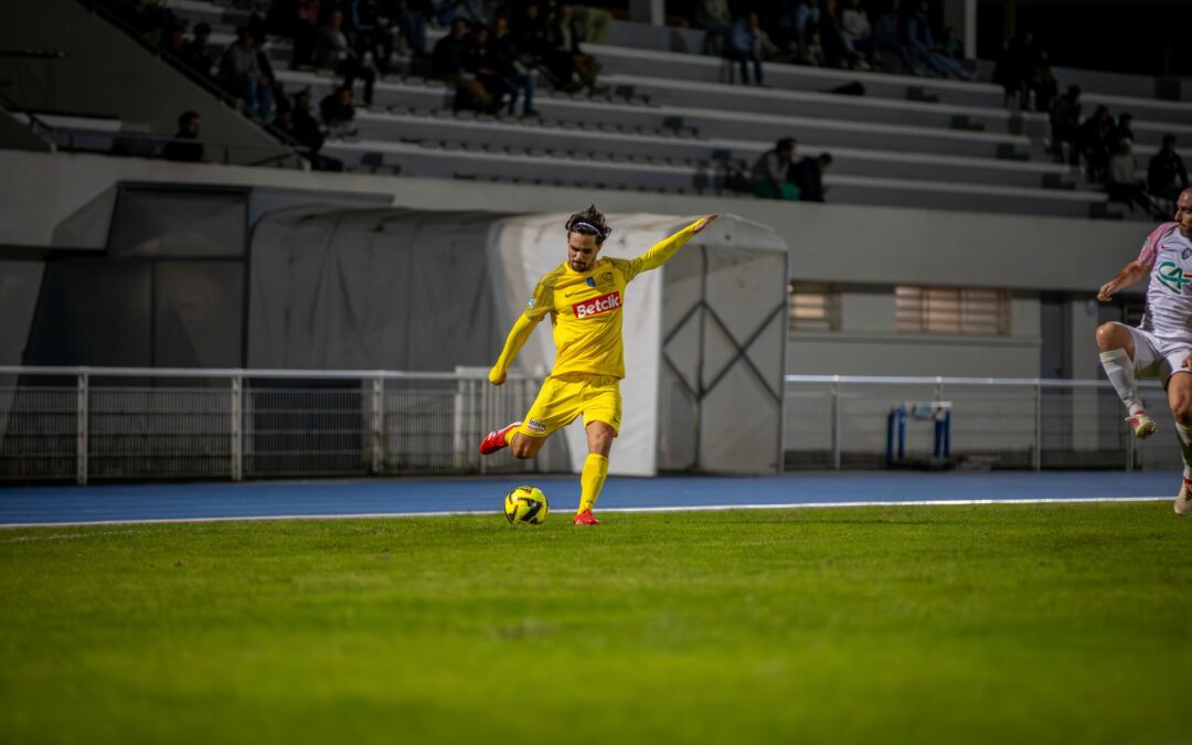 Le coeur de Lion de Thomas Rios