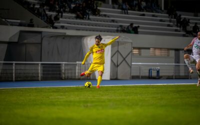 Le coeur de Lion de Thomas Rios