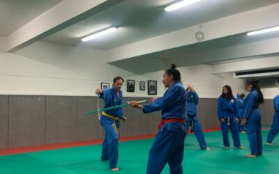Vovinam Viet Vo Dao, l’art martial discret qui séduit