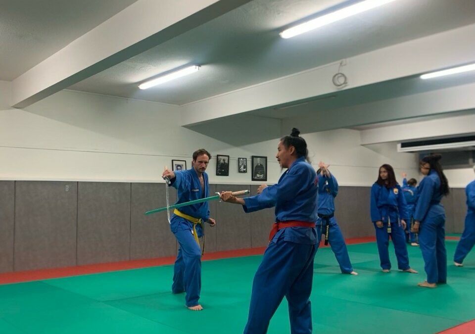 Vovinam Viet Vo Dao, l’art martial discret qui séduit