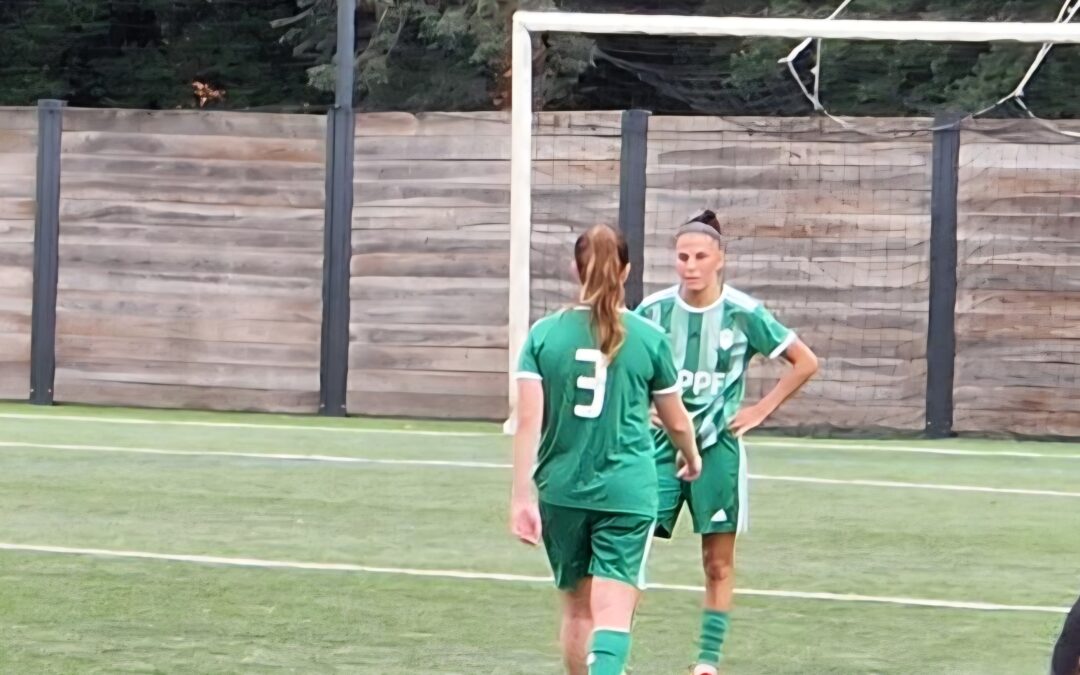 Formule offensive pour la meneuse