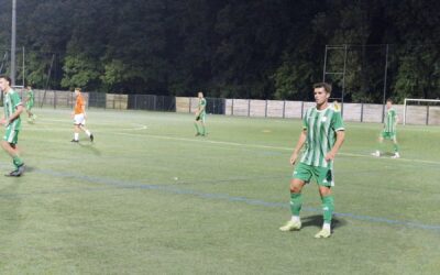 Les Écureuils dans la course