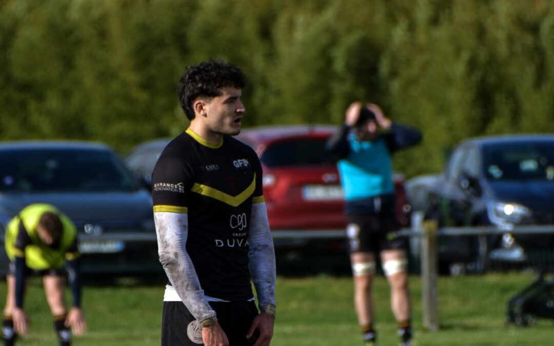 Le Lion vise les Éléphants