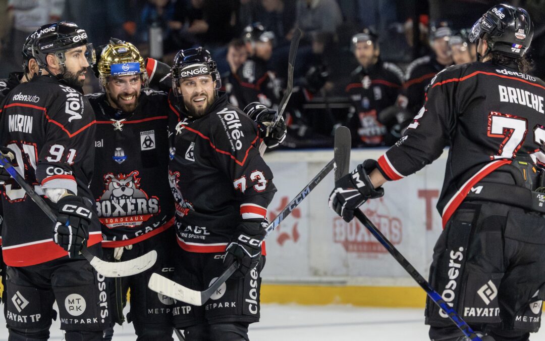 Les Boxers s’offrent Anglet sur un plateau