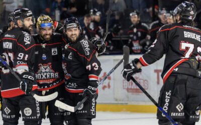 Les Boxers s’offrent Anglet sur un plateau