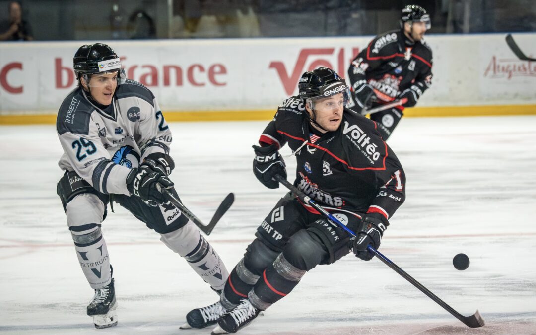 Les Boxers toujours intouchables