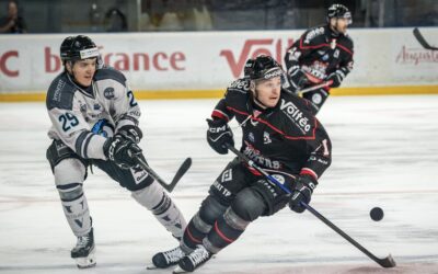 Les Boxers toujours intouchables