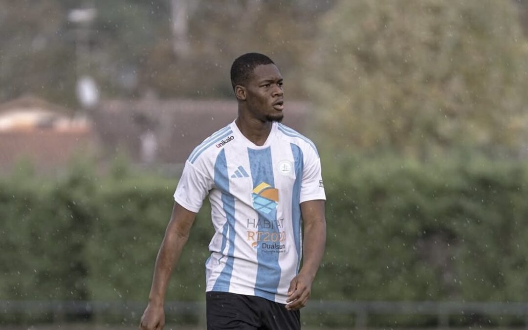 Le Guépard attend son heure