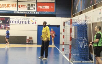 La grosse année de Shana