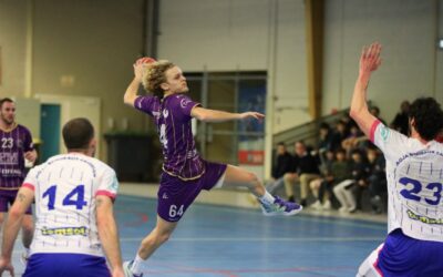 Canéjan face à la montagne