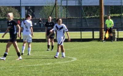 La stabilité de Julia